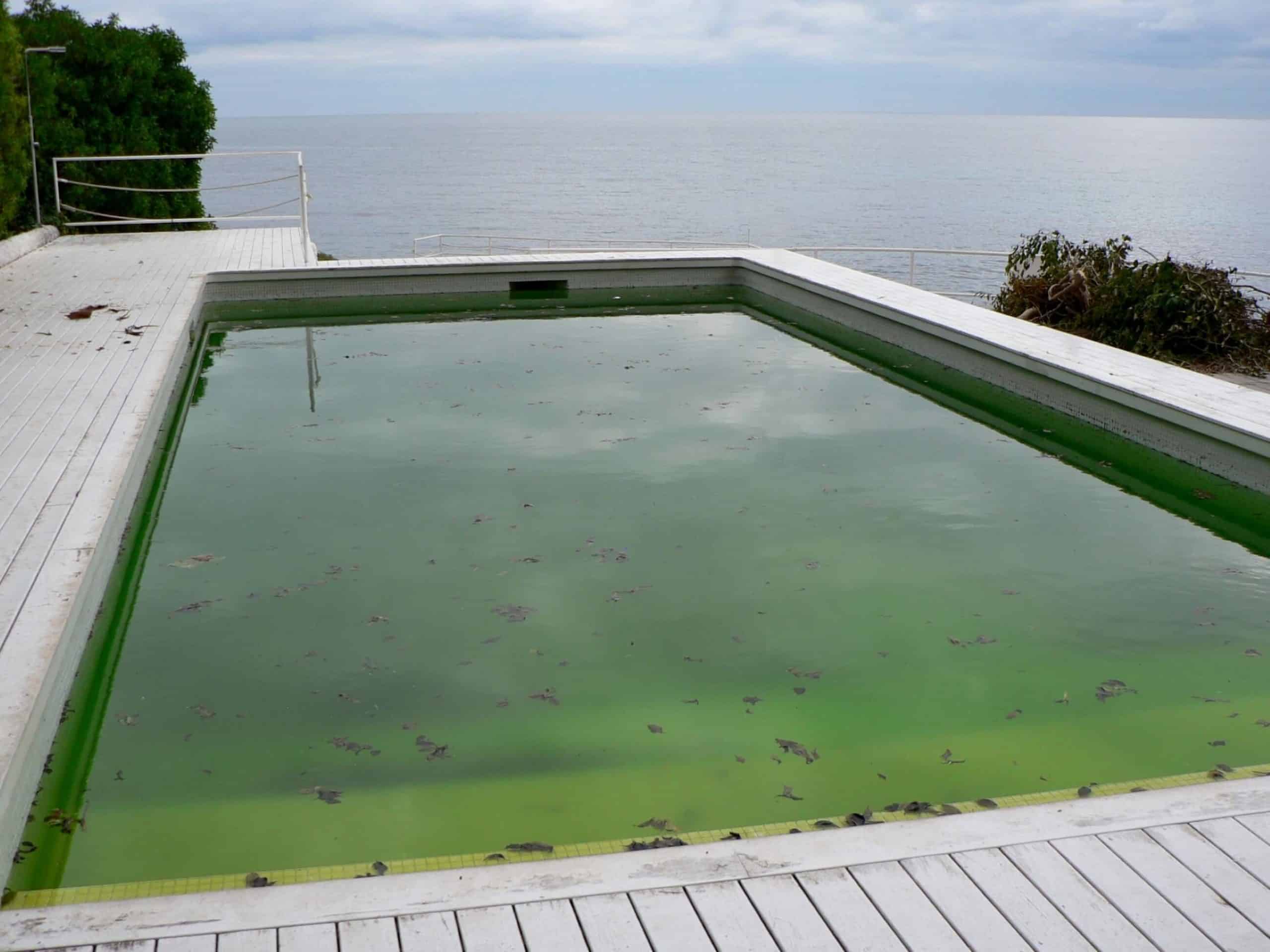 entretien piscine rennes