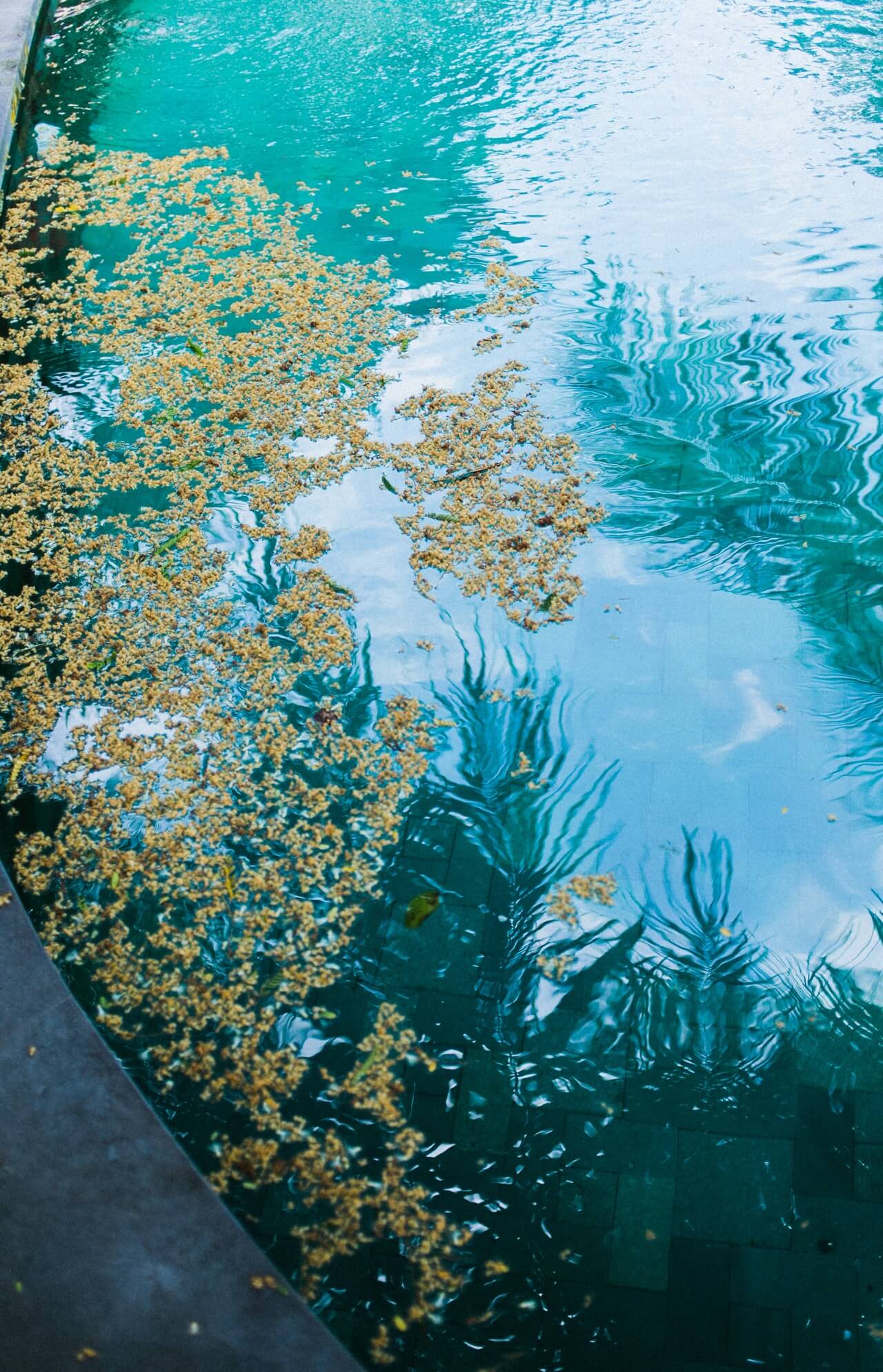 entretien piscine rennes